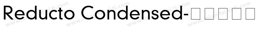 Reducto Condensed字体转换